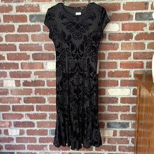 Felicity & Coco Black Dress Velvet Embossed Nordstrom Size Medium NWT
